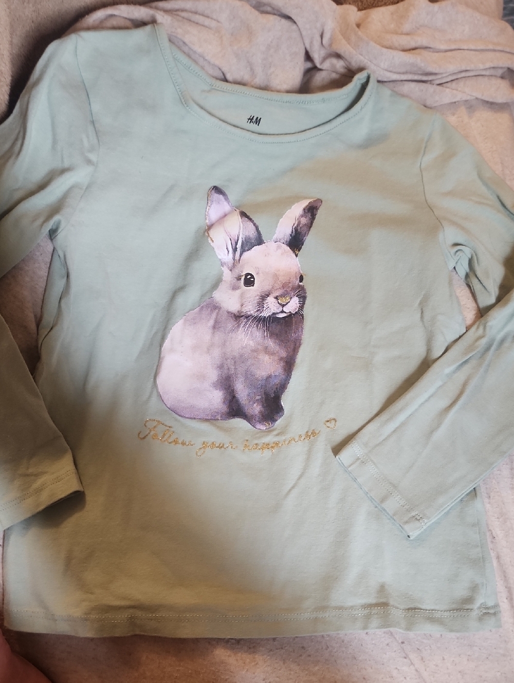 *Sz 5T/6 H&M Green Long-Sleeve Tee with Watercolor Bunny Graphic-bundle Only